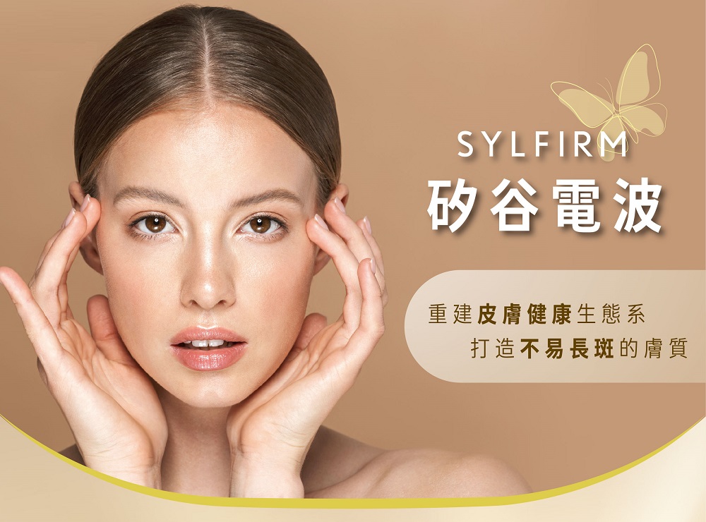 矽谷電波 SYLFIRM 